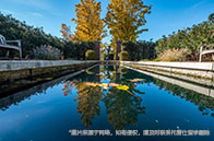 新加坡國立大學物理碩士入學條件有哪些？