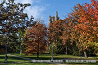 英國大學25QS排名變化：喜憂參半