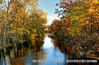 南洋理工大學對外漢語教學碩士錄取難度