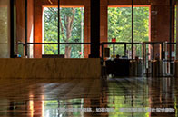 加拿大約克大學語言要求最新匯總