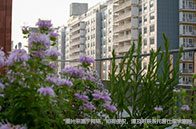 英國金融碩士一年要多少錢？