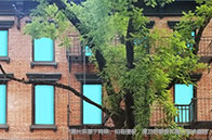 留學必備|John Locke論文競賽含金量