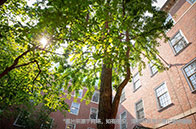 出國留學語言要求多高？