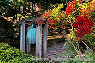 2024年新加坡泰晤士世界大學學科排名