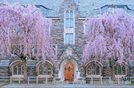 熱門專業|NTU MSAI