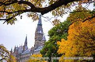 NUS大學商學院碩士學費多少錢？