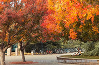 NUS EBAC項(xiàng)目錄取解析