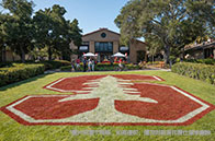 UIUC分子與細胞生物專業介紹