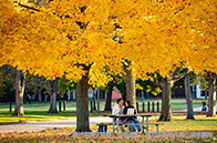 亞太IB考題泄露，造福歐區(qū)人？