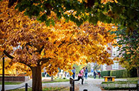 NUS計(jì)算機(jī)學(xué)院專業(yè)設(shè)置