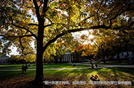 哈佛大學(xué)心理學(xué)本科怎么樣？