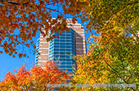 大全|密歇根大學專業(yè)設置