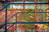 NTU大學(xué)研究生一年學(xué)費(fèi)多少錢？