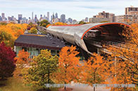 轉學美國名校難度解析