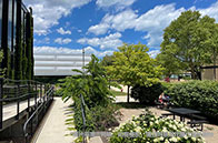 英國法學碩士語言要求多高？