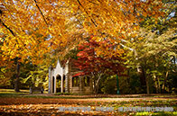 新加坡管理大學(xué)應(yīng)用金融碩士申請(qǐng)條件