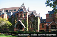 圣路易斯華盛頓大學qs排名：2025年下滑至第176