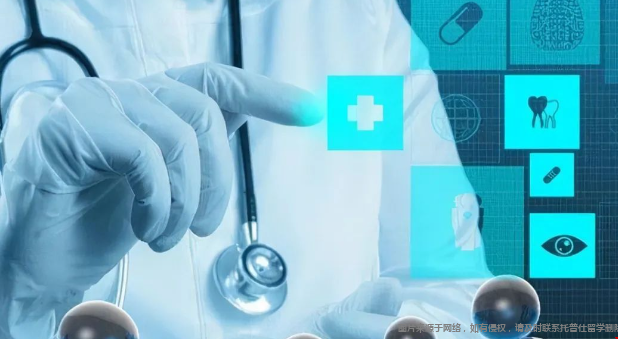 美國生物醫學工程專業分支