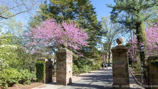 普林斯頓大學金融學碩士課程設(shè)置