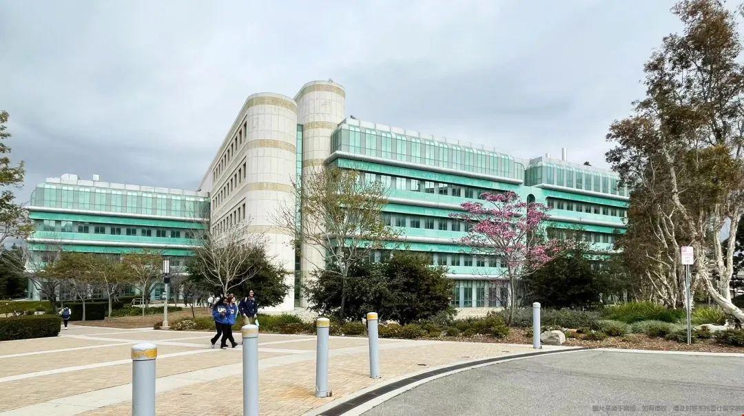 加州大學爾灣分校世界排名