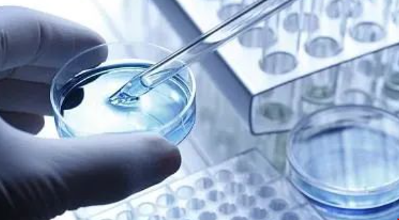 美國生物醫學工程專業研究方向