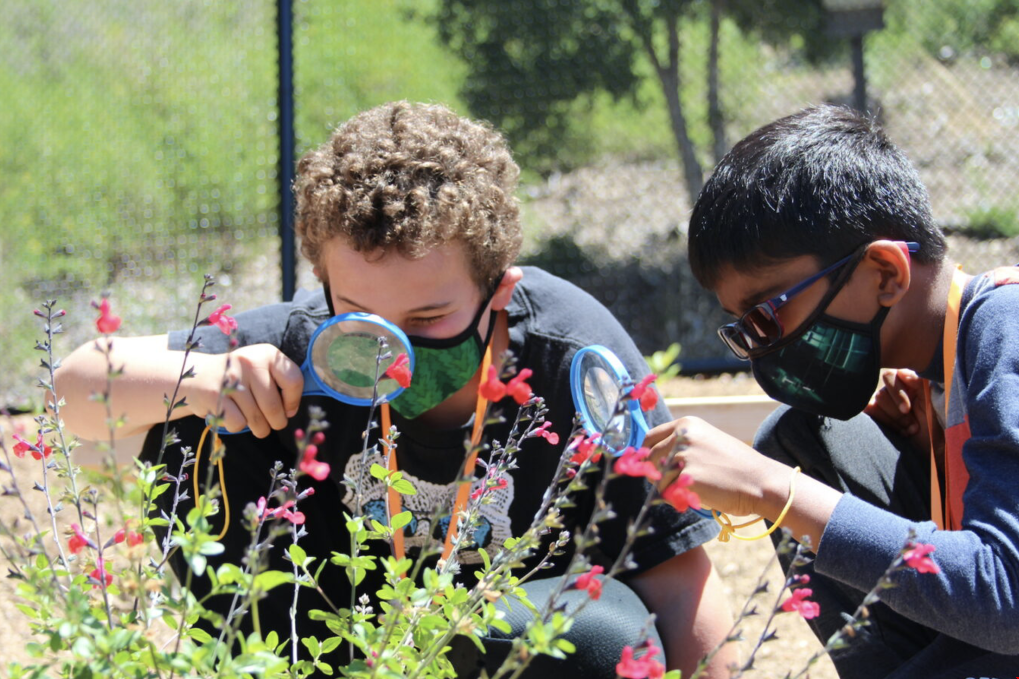 伯克利社團.png 伯克利社團.png