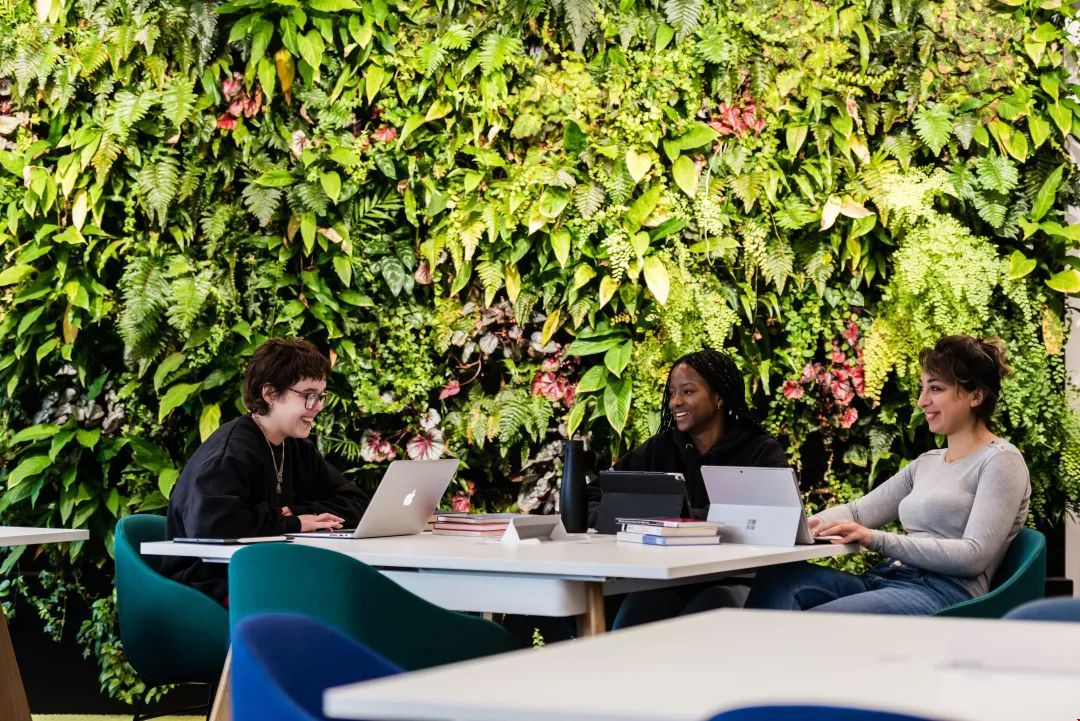 蘭卡斯特大學.jpg 蘭卡斯特大學.jpg