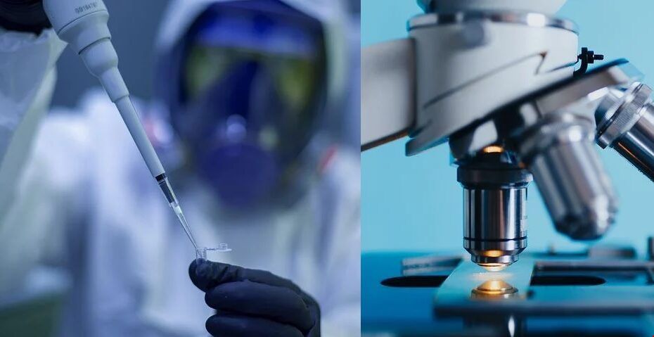 英國生物工程專業.jpg 英國生物工程專業.jpg