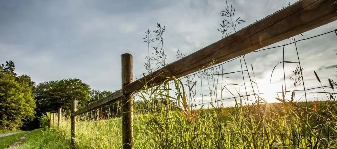 戴爾豪斯大學(xué)環(huán)境科學(xué)專業(yè).jpg 戴爾豪斯大學(xué)環(huán)境科學(xué)專業(yè).jpg