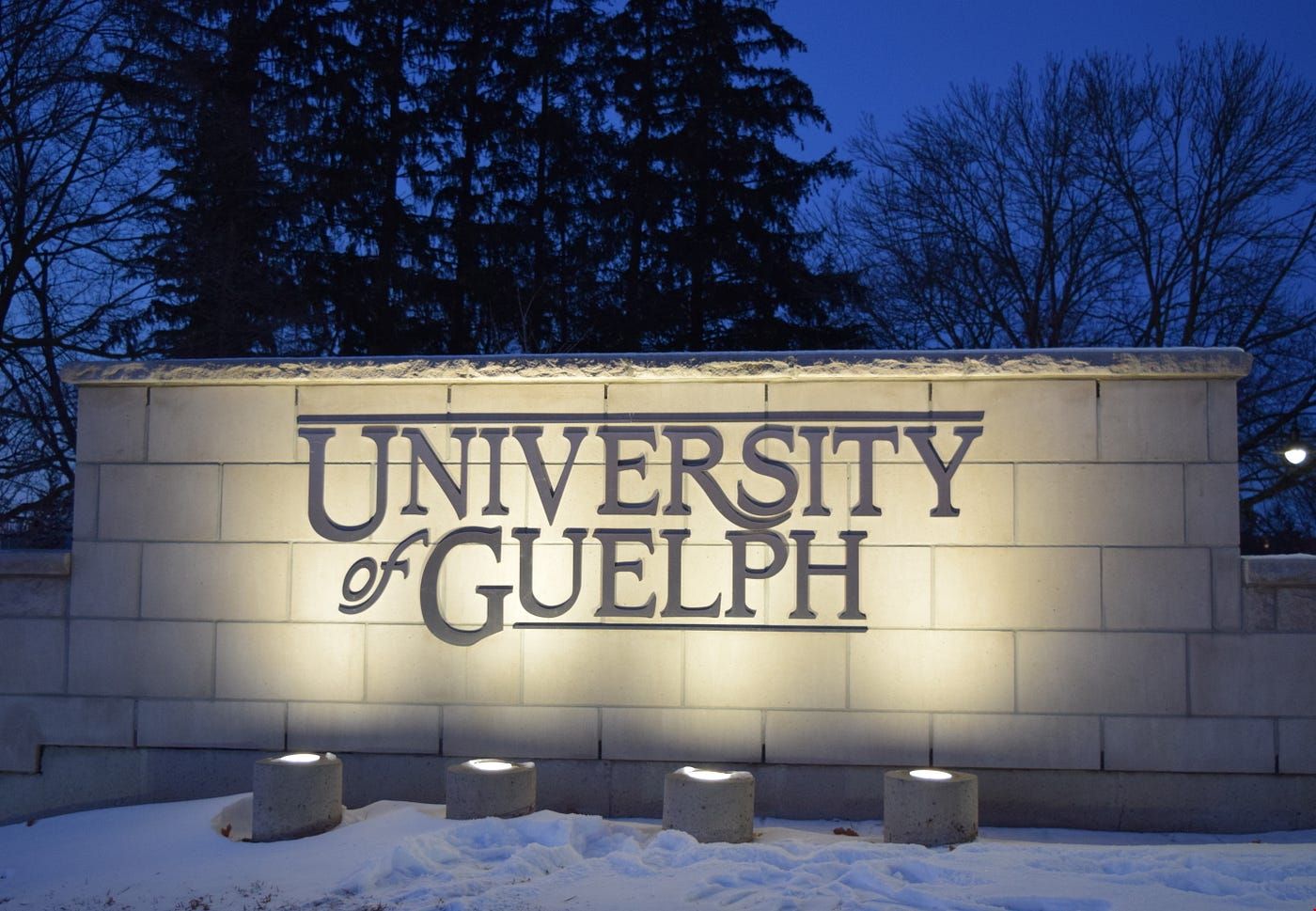 圭爾夫大學(xué).jpg 圭爾夫大學(xué).jpg