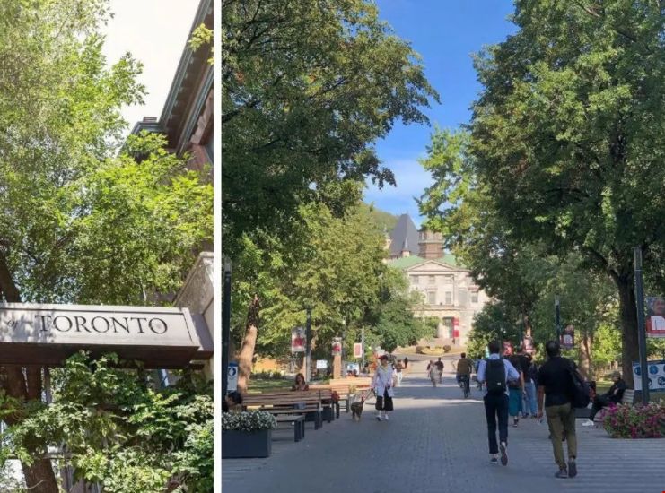 麥吉爾和多倫多大學哪個強.png 麥吉爾和多倫多大學哪個強.png