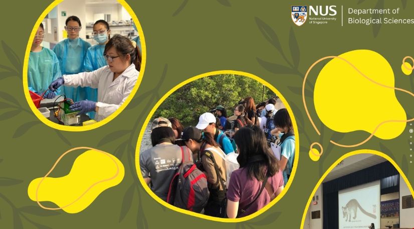 新加坡國立大學生物科學系.png 新加坡國立大學生物科學系.png