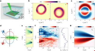 極化子自旋霍爾效應.png 極化子自旋霍爾效應.png