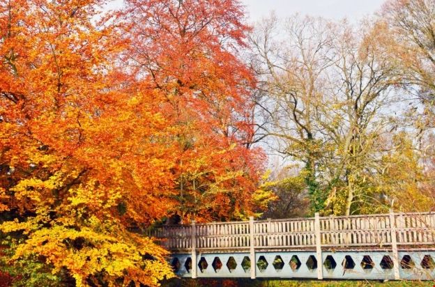 牛津大學莫德林學院.png 牛津大學莫德林學院.png