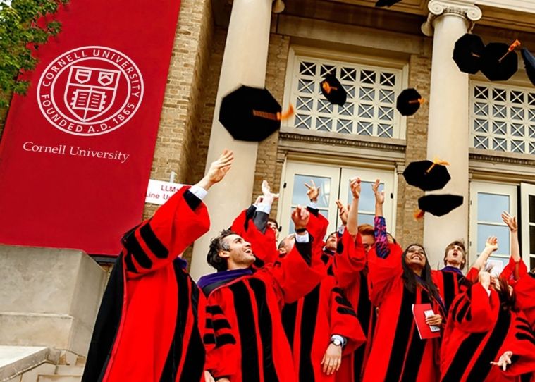 康奈爾大學畢業生.png 康奈爾大學畢業生.png