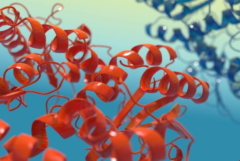 MIT研究發現蛋白質有助開發新的抗生素.png MIT研究發現蛋白質有助開發新的抗生素.png